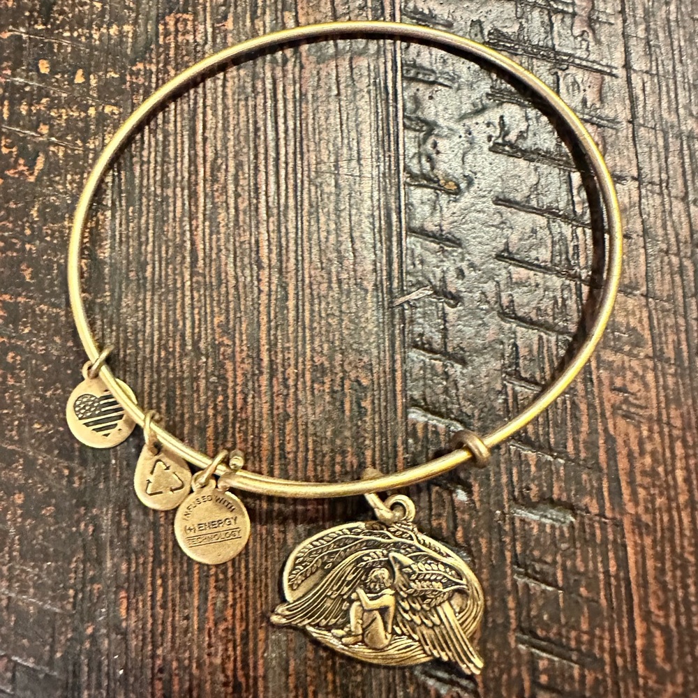 Alex and Ani Matte Gold Guardian of Healing Bangle Charm Bracelet